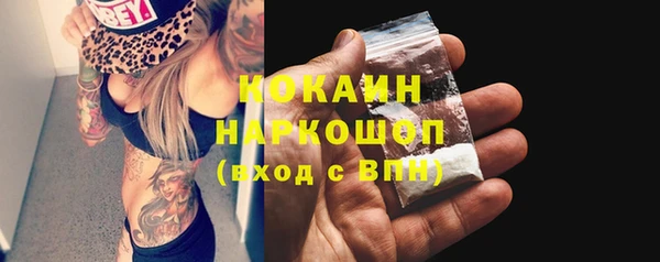крисы Новодвинск