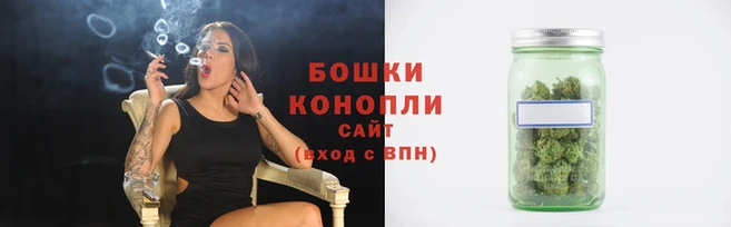 бошки Новозыбков