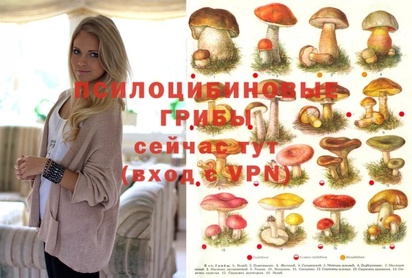 бошки Новозыбков
