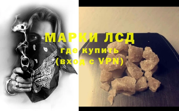 крисы Новодвинск