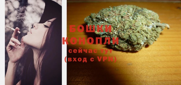 бошки Новозыбков