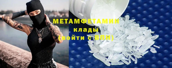 крисы Новодвинск