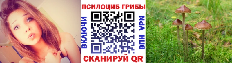 Купить закладки  Зарайск  Псилоцибиновые грибы Magic Shrooms 